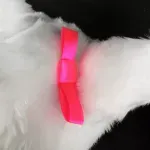 Auto si Moto - Moto - Echipamente protectie moto - Casti moto - Husa amuzanta casca moto Funny Rider, marime universala, Gonga® Alb - Infinity.ro