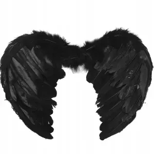 Casa si Gradina - Decoratiuni - Decoratiuni petrecere - Infinity.ro