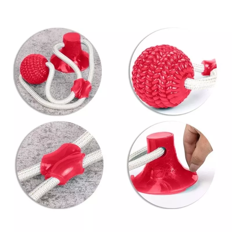 Petshop - Accesorii petshop - Jucarii animale - Jucarii interactive animale - Jucarie interactiva cu ventuza pentru catei, Gonga® Rosu - Infinity.ro