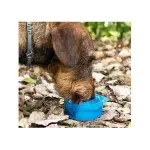 Petshop - Accesorii petshop - Castroane si adapatori - Sticla portabila pentru hrana si apa, 300 ml, Gonga® Albastru - Infinity.ro