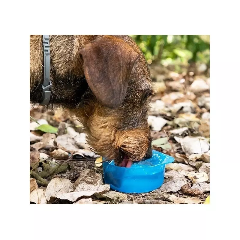 Petshop - Accesorii petshop - Castroane si adapatori - Sticla portabila pentru hrana si apa, 300 ml, Gonga® Albastru - Infinity.ro