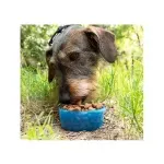 Petshop - Accesorii petshop - Castroane si adapatori - Sticla portabila pentru hrana si apa, 300 ml, Gonga® Albastru - Infinity.ro