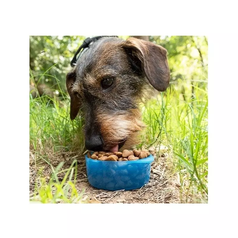 Petshop - Accesorii petshop - Castroane si adapatori - Sticla portabila pentru hrana si apa, 300 ml, Gonga® Albastru - Infinity.ro