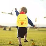 Fashion, accesorii si bijuterii - Copii - Accesorii copii - Genti si rucsacuri copii - Ghiozdan Gradinita pentru Copii prescolari WePro Store, Model Puisor, plus, 26x24x10 - Infinity.ro