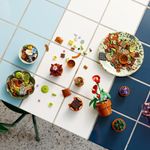 Jucarii, Copii si Bebe - Jucarii si jocuri - Seturi de constructie si cuburi - Seturi de constructie - Lego icons plante de mici dimensiuni 10329 - Infinity.ro