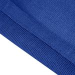 Sport si Outdoor - Camping - Accesorii corturi - Covor pentru cort, albastru, 250x200 cm, HDPE - Infinity.ro