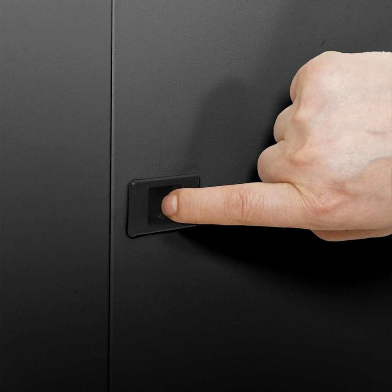 PC, gaming si accesorii - Componente PC - Componente - Hard Disk-uri - Dulap rack, Negru 53 x 60 x 30 cm Otel - Infinity.ro