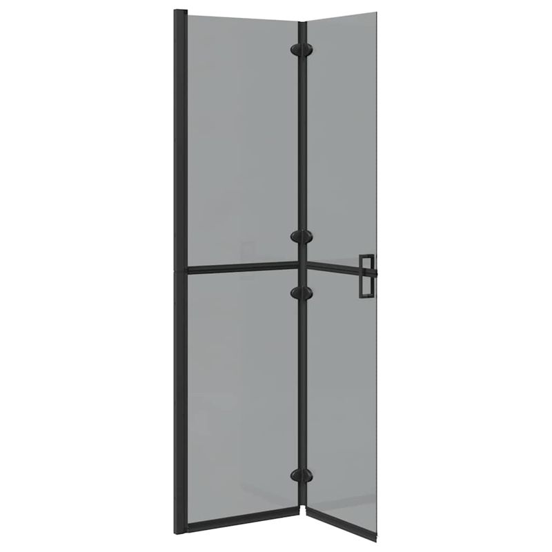 Casa si Gradina - Sanitare - Cazi si cabine de dus - Paravane si usi - Perete de dus Walk-in Negru si transparent inchis 100 x 190 cm - Infinity.ro