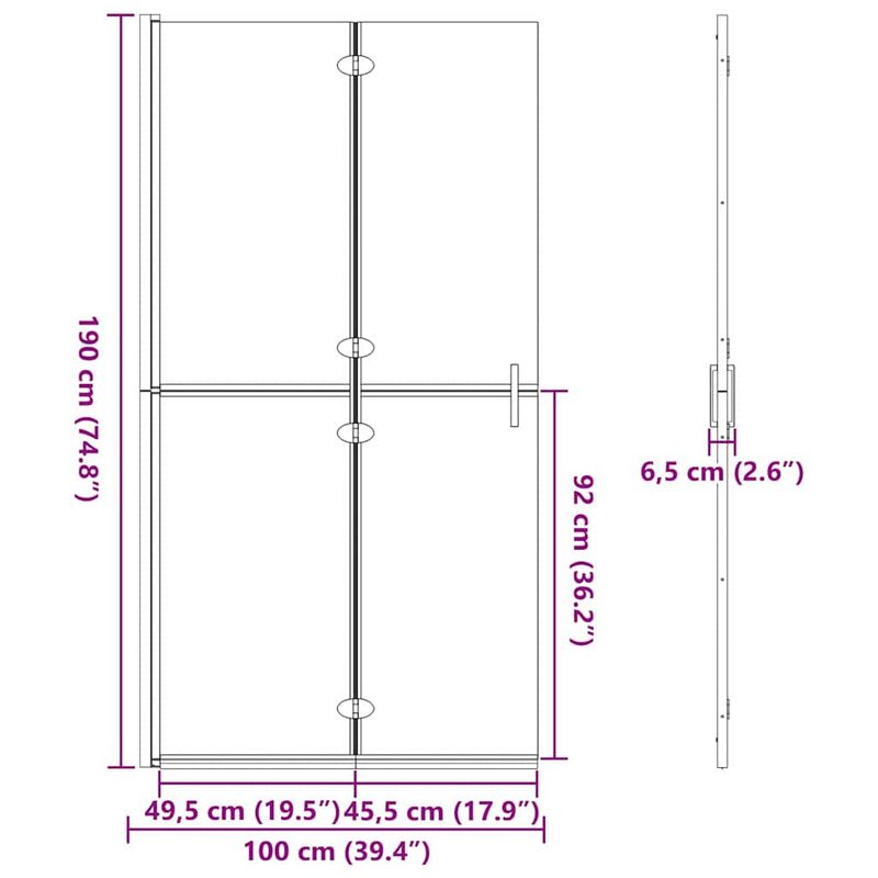 Casa si Gradina - Sanitare - Cazi si cabine de dus - Paravane si usi - Perete de dus Walk-in Negru si transparent inchis 100 x 190 cm - Infinity.ro