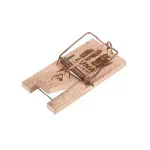 Casa si Gradina - Gradinarit si plante - Intretinere gradina - Articole daunatori gradina - Set 2 mini capcane pentru soareci, Gonga® Bej - Infinity.ro