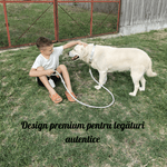 Petshop - Accesorii petshop - Zgarzi, lese si hamuri - Lese - Set premium pentru caini compus din lesa rezistenta din franghie de poliester cu accesorii din aliaj gold-zinc, zgarda, marime L - Infinity.ro