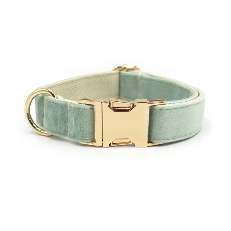 Petshop - Accesorii petshop - Zgarzi, lese si hamuri - Lese - Set premium pentru caini compus din lesa rezistenta din franghie de poliester cu accesorii din aliaj gold-zinc, zgarda, marime L - Infinity.ro