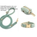 Petshop - Accesorii petshop - Zgarzi, lese si hamuri - Lese - Set premium pentru caini compus din lesa rezistenta din franghie de poliester cu accesorii din aliaj gold-zinc, zgarda, marime L - Infinity.ro