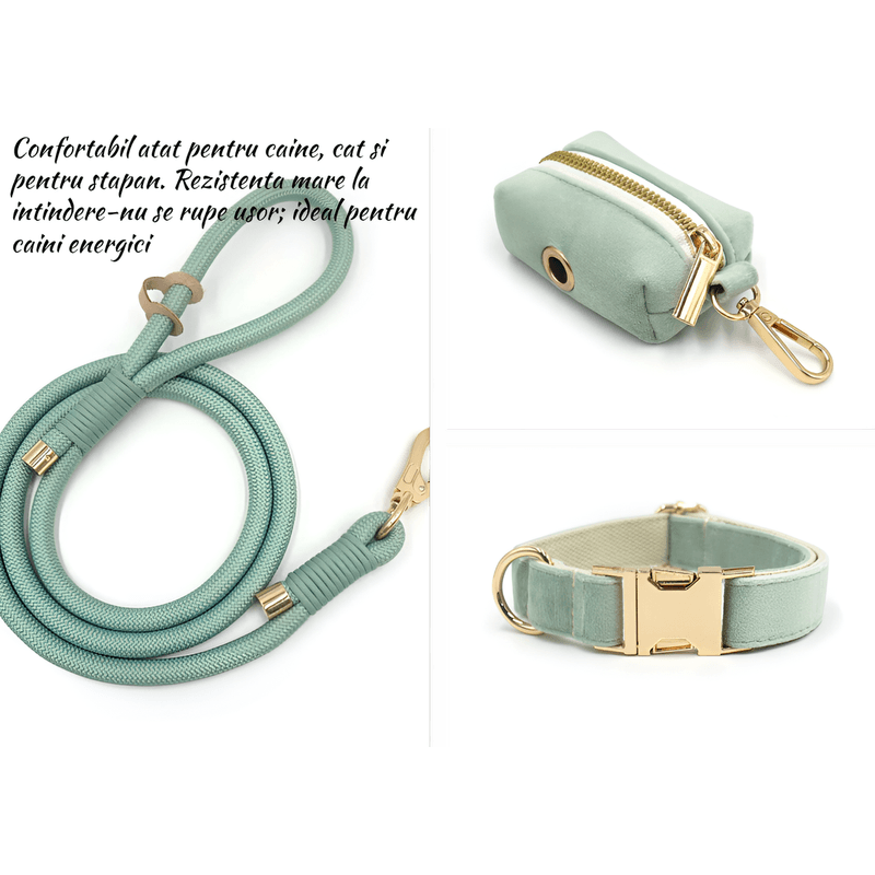 Petshop - Accesorii petshop - Zgarzi, lese si hamuri - Lese - Set premium pentru caini compus din lesa rezistenta din franghie de poliester cu accesorii din aliaj gold-zinc, zgarda, marime L - Infinity.ro