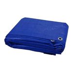 Casa si Gradina - Gradina si terasa - Umbrele si pavilioane - Pavilioane - Prelata impermeabila universala, 2x4 m, densitate 80g/mﾲ, inele de prindere metalice, culoare albastra - Infinity.ro