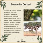Casa si Gradina - Decoratiuni - Obiecte decorative - Obiecte bisericesti - Tamaie naturala Boswellia Carteri, Aden, 100 g, calmanta si relaxanta - Infinity.ro