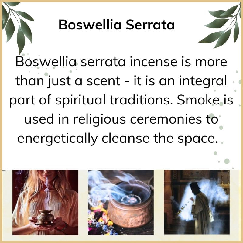 Casa si Gradina - Decoratiuni - Obiecte decorative - Obiecte bisericesti - Tamaie naturala Boswellia Serrata, Indian, 100g, aroma sacra pentru purificare, rugaciune si meditatie - Infinity.ro