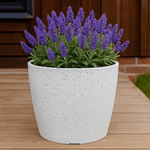 Casa si Gradina - Gradinarit si plante - Plante si ghivece - Ghivece si suporturi - Ghiveci pentru flori din plastic rezistent, culoare alba, Stone Effect, diametru 28 cm, inaltime 26 cm, cu scurgere - Infinity.ro