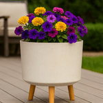 Casa si Gradina - Gradinarit si plante - Plante si ghivece - Ghivece si suporturi - Ghiveci plastic cu 3 picioare pentru flori, WhiteWheat, capacitate 3.75 litri, 20x26 cm - Infinity.ro