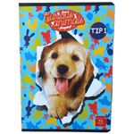 Carti si Birotica - Rechizite - Caiete - Caiete tip 1 si 2 - Set de 5 Caiete Tip 1, Linomag®, Pentru scolari si profesori, Modele diverse, A5, 24 FILE, 70gm², Multicolor - Infinity.ro