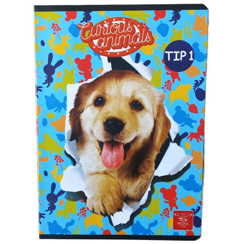 Carti si Birotica - Rechizite - Caiete - Caiete tip 1 si 2 - Set de 5 Caiete Tip 1, Linomag®, Pentru scolari si profesori, Modele diverse, A5, 24 FILE, 70gm², Multicolor - Infinity.ro