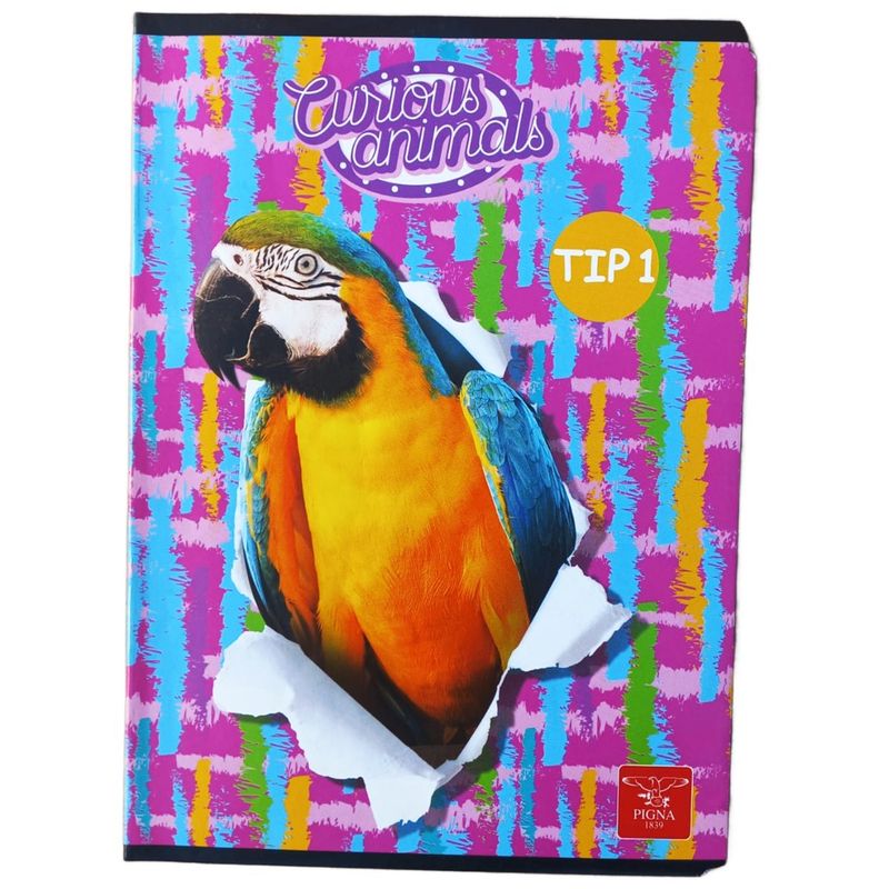 Carti si Birotica - Rechizite - Caiete - Caiete tip 1 si 2 - Set de 5 Caiete Tip 1, Linomag®, Pentru scolari si profesori, Modele diverse, A5, 24 FILE, 70gm², Multicolor - Infinity.ro