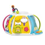 Jucarii, Copii si Bebe - Jucarii si jocuri - Jucarii bebelusi - Jucarii interactive bebelusi - Cub interactiv montessori pentru invatare timpurie - Infinity.ro