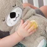 Jucarii, Copii si Bebe - Jucarii si jocuri - Jucarii bebelusi - Jucarii interactive bebelusi - Fisher price jucarie respira cu bebelusul vidra - Infinity.ro