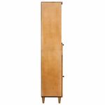 Casa si Gradina - Mobilier - Mobilier baie - Comode baie - Dulap de Baie cu sertar cu usa Maro deschis 38 x 33.5 x 160 cm - Infinity.ro