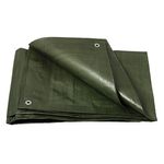 Casa si Gradina - Gradinarit si plante - Sere si solarii - Prelata impermeabila, 8x12m, densitate 200g/mﾲ, inele de prindere, verde - Infinity.ro