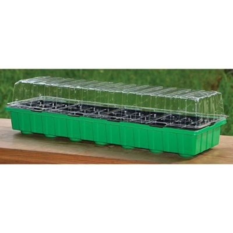 Casa si Gradina - Gradinarit si plante - Plante si ghivece - Bulbi, seminte si rasaduri - Tava pentru rasaduri cu capac din plastic transparent, 36 alveole, 54x15x13 cm - Infinity.ro