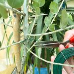 Casa si Gradina - Constructii - Materiale constructii - Sarma constructii - Sarma verde pentru legat in gradina, 0.8mmx75m, PVC Coated - Infinity.ro