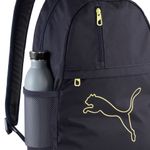 Sport si Outdoor - Articole de voiaj - Rucsacuri - Rucsac Puma Plus 3.1 - Infinity.ro