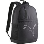 Sport si Outdoor - Articole de voiaj - Rucsacuri - Rucsac Puma Plus 3.1 - Infinity.ro