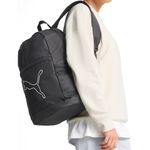 Sport si Outdoor - Articole de voiaj - Rucsacuri - Rucsac Puma Plus 3.1 - Infinity.ro