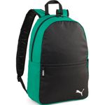 Sport si Outdoor - Articole de voiaj - Rucsacuri - Rucsac Puma Team Goal Core - Infinity.ro