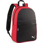 Sport si Outdoor - Articole de voiaj - Rucsacuri - Rucsac Puma Team Goal Core - Infinity.ro