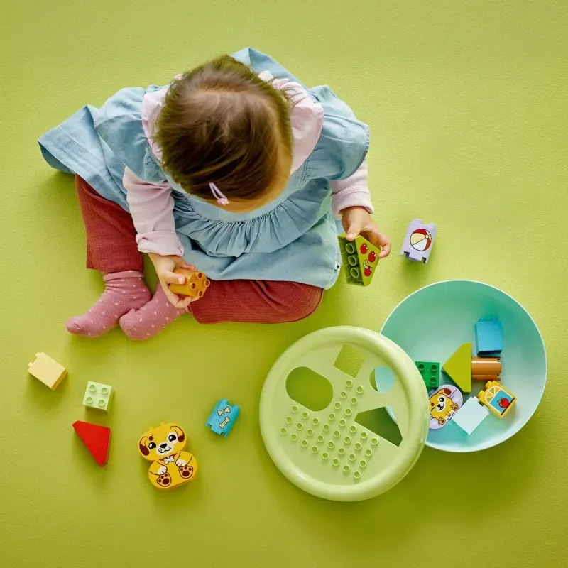 Jucarii, Copii si Bebe - Jucarii si jocuri - Seturi de constructie si cuburi - Seturi de constructie - Lego Duplo Sortator De Forme Casa Pentru Catei 10441 - Infinity.ro