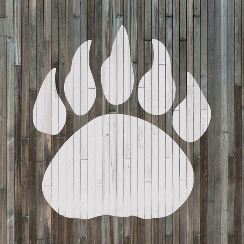 Casa si Gradina - Decoratiuni - DIY - Sabloane decorative pereti - Sablon Perete vopsire, tencuiala 0.7mm Gheara de Urs model MXSP7421, 100 x 100 mm - Infinity.ro