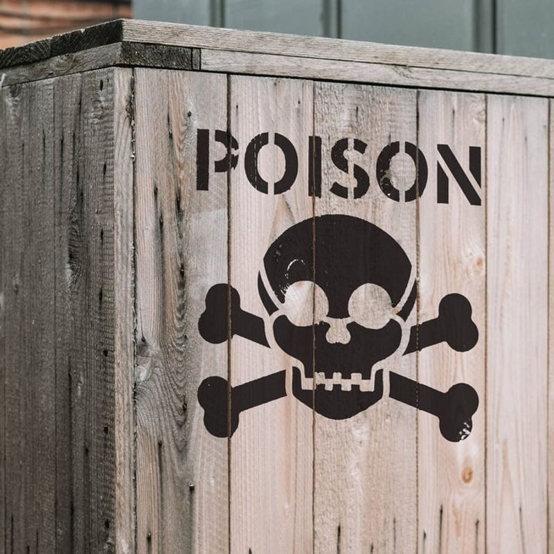 Casa si Gradina - Decoratiuni - DIY - Sabloane decorative pereti - Sablon Perete vopsire, tencuiala 0.7mm Poison Symbol Refolosibil, model MXSP7227, 200 x 200 mm, 0.70mm - Infinity.ro