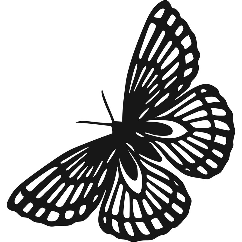 Casa si Gradina - Decoratiuni - Decoratiuni perete - Decor perete Fluture HH778 din lemn - 45 L x 26 H (cm) - Infinity.ro