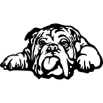 Casa si Gradina - Decoratiuni - Decoratiuni perete - Decor perete Catel Bull Dog HH698 din lemn - 59 L x 32 H (cm) - Infinity.ro