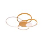 Casa si Gradina - Corpuri si surse de iluminat - Lustre si pendule - Lustra LED Lacerta cu Telecomanda, 200W, Auriu, Acril, Dimabila - Infinity.ro