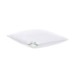 Casa si Gradina - Textile si covoare - Perne si pilote - Perne - Perna Sleep by Green Future 10% puf gasca 90% pana de gasca, 70x70 cm - Infinity.ro