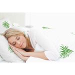 Casa si Gradina - Textile si covoare - Perne si pilote - Pilote - Set Aloe Vera Essence, perna microfibra 50x70 cm si pilota matlasata 350g/mp, 140x200 cm - Infinity.ro