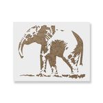 Casa si Gradina - Decoratiuni - DIY - Sabloane decorative pereti - Sablon Perete vopsire, tencuiala 0.7mm Elefant model MXSP7418, 1000 x 1000 mm - Infinity.ro