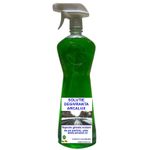 Market - Curatenie si intretinere casa - Produse menaj - Solutii curatenie - Solutie degivranta, Arcalux, set de 10 bucati, 0,5 L - Infinity.ro