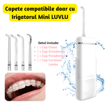 Ingrijire personala si Cosmetice - Igiena dentara - Irigatoare bucale - Set 4 Capete Irigator/Dus Bucal Mini LUVLU™ - Infinity.ro