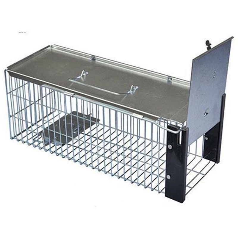 Market - Curatenie si intretinere casa - Produse menaj - Insecticide si capcane - Capcana metalica pentru sobolani 40x16 cm - Infinity.ro