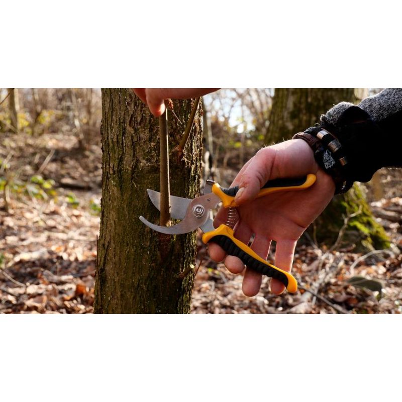 Casa si Gradina - Gradinarit si plante - Unelte gradinarit - Foarfeci gradinarit - Set fierastrau pliabil, foarfeca crengi si teaca plastic pentru gradina, Strend PRO Garden - Infinity.ro